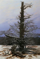 雪の中でオークの木。 1829