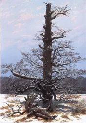 ドイツ語：Eichbaum im Schnee 雪の中のオークツリー
