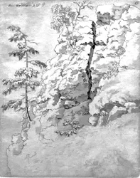 木々の生い茂る岩の斜面