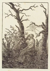 蜘蛛の巣を張った女