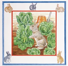 キャベツパッチのウサギ（紙にトイレ）