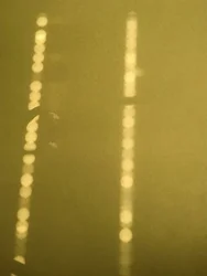 コンポジション - 光, 2019（写真）