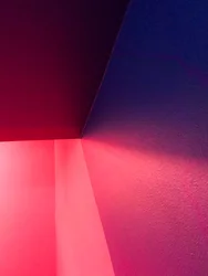 構成 - 照明、2020年（写真）