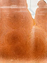 コンポジション - 質感, 2023（写真）