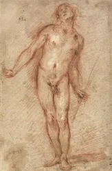 立っている男性のヌード、1637〜38年