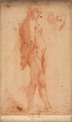 立っている男性のヌードの研究、4分の3プロファイルの頭の研究、c。 1640。