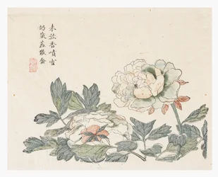 マスタードシードガーデン