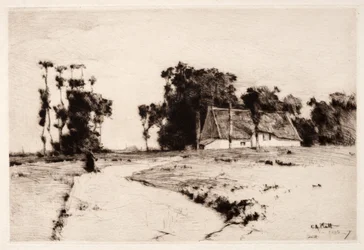 ブルターニュの木、1885-1887。