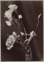 ガラスの花瓶を使った花の研究