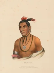 WA-KAWN, A WINNEBAGO CHIEF（『北米インディアン部族史』より