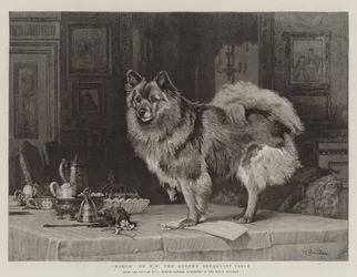 マルコ、女王の朝食テーブルで