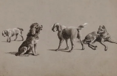 犬の研究（紙、ペン、ブラシ、インク、ガッシュ）