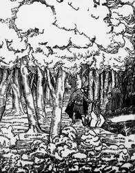 モーリス・メーテルリンク（1862-1949）の『ペレアスとメリザンド』のためにシャルル・ドゥーデレ（1861-1938）が描いた木版画（イタリア・スポレートのクラウディオ・アルジェンティエリ社刊