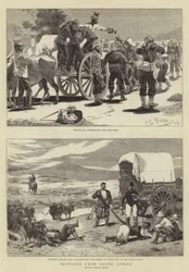 南アフリカからのスケッチ