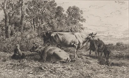 オランダの牛、1864年。