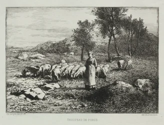 豚の群れ、1868年。