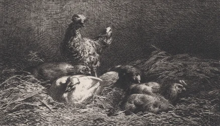 めんどり、1867年。