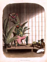ハヌマーン、トーマス・メドランド（1755-1823）が彫った「Oriental Drawings」のプレート31、パブ。1803年（アクアチント）。