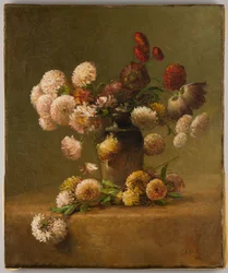 菊の花