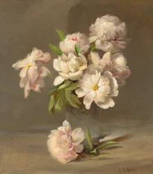 花瓶の牡丹 1885年頃 油彩・カンヴァス