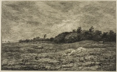 Villerville (Calvados) の Pre des Graves