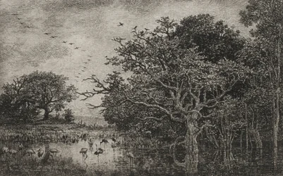 コウノトリと湿地、c。 1851年。