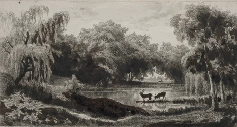 クワガタのプール、1845。