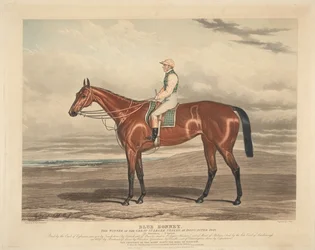 競馬: ブルー・ボネット。1842年ドンカスターの大セントレジャーステークスの勝者