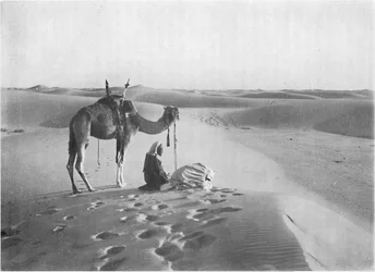 砂漠の日没の祈り、c1913