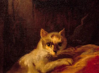 マドモアゼル・ド・シャロレ 猫を表すディテール絵画：シャルル・ジョゼフ・ナトワール（Charles-Joseph Natoire