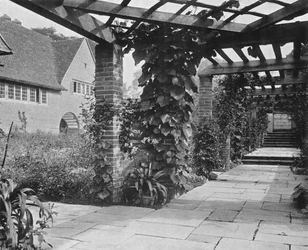 パーゴラを北上する