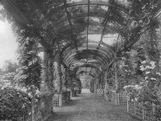 北パーゴラの下