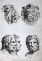ライオンの頭と男の類似点、ル・ブランの「描き始めた人のためのポートレートブック」から