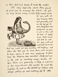 パブ、Alices Adventures Under Groundのイラストを描いたダチョウを抱いたアリス。 1886（ファクシミリ）