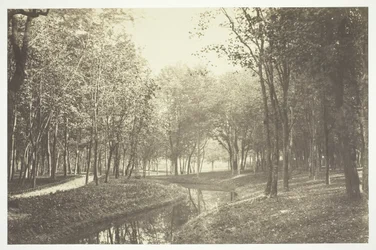無題、c。 1850. [パリの公園、ブローニュの森の水辺の木々]。
