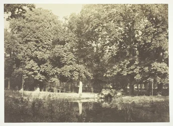 無題、c。 1850. [パリの公園、ブローニュの森の水辺の木々]。