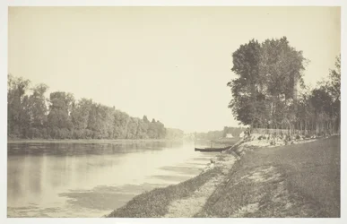 無題、c。 1850. [パリの公園、ブローニュの森の水辺の木々]。