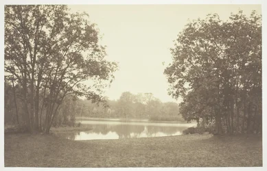 無題、c。 1850. [パリの公園、ブローニュの森の水辺の木々]。