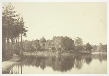 無題、c。 1850. [パリの公園、ブローニュの森の水辺の木々]。