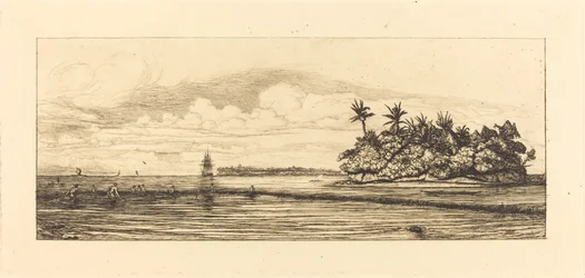 オセアニア、ウベア (ウォリス) の島々。 Peche aux palmes、1845年