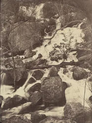 [木と滝]、1860-65。