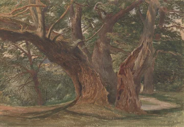 Trees in a Landscape   1444587   ja       japanese Successfully Translated  Original: Beaulieu, Hampshire Translat: Beaulieu, Hampshire 1444441 ja japanese Successfully Translated Original: Design for an Urn Translat: Design for an Urn 1445486 ja japanese 