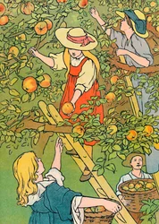 果物を選ぶ、1912