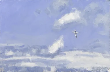 Gannet  Clouds, 2016（キャンバスに油彩）