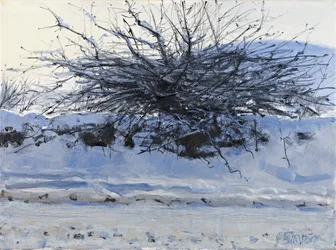 サンザシ, 2011 （キャンバスに油彩）