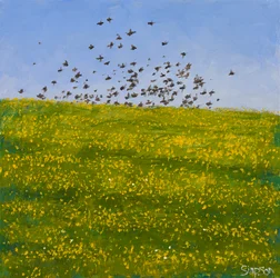ムクドリとキンポウゲ、アイオナ、2015年（キャンバスに油彩）