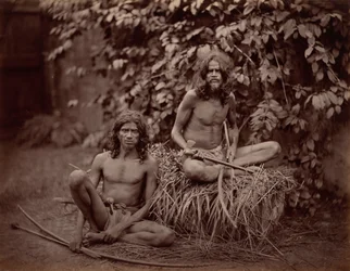 ヴェッダ、1870年頃1870年（写真）