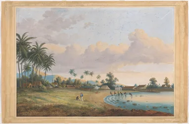 カーネーション Java に直面