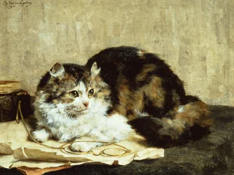 ぶち猫