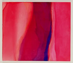 サリフィッシュ、2000（ジェッソの油）